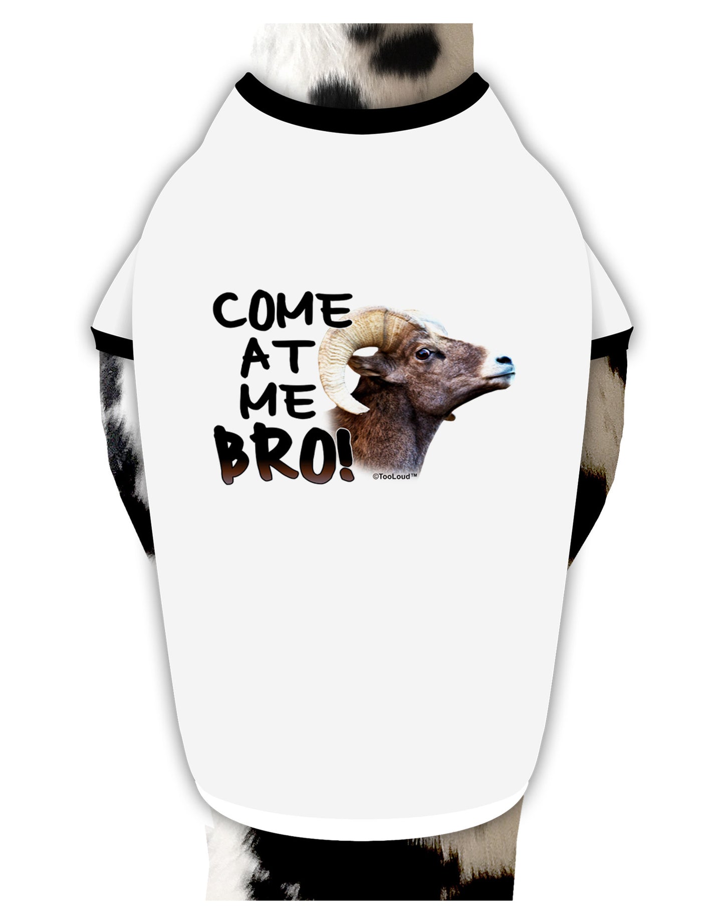 Come At Me Bro Big Horn Dog Shirt-Dog Shirt-TooLoud-White-with-Black-Small-Davson Sales
