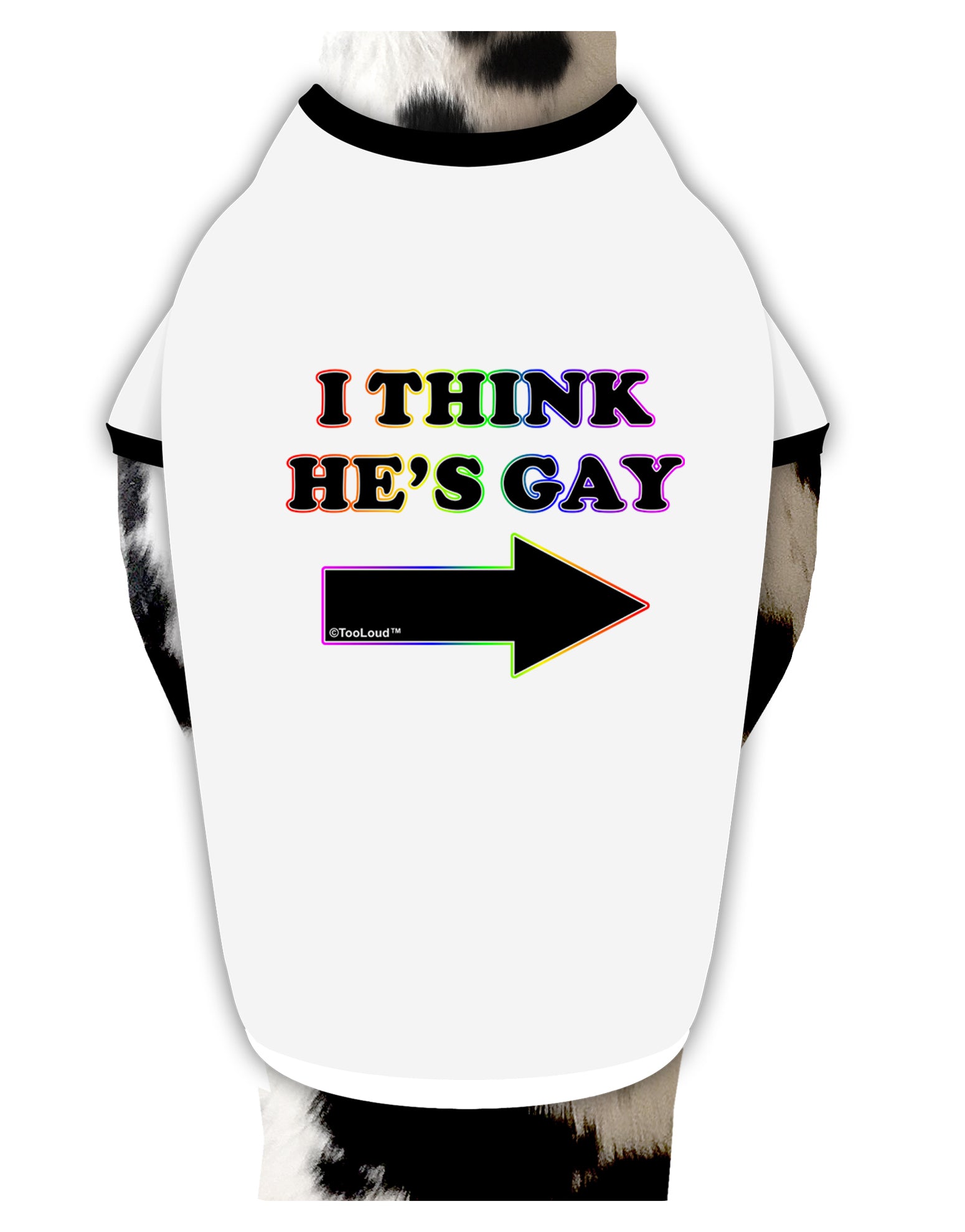 I Think He's Gay Right Dog Shirt by TooLoud-Dog Shirt-TooLoud-White-with-Black-Small-Davson Sales