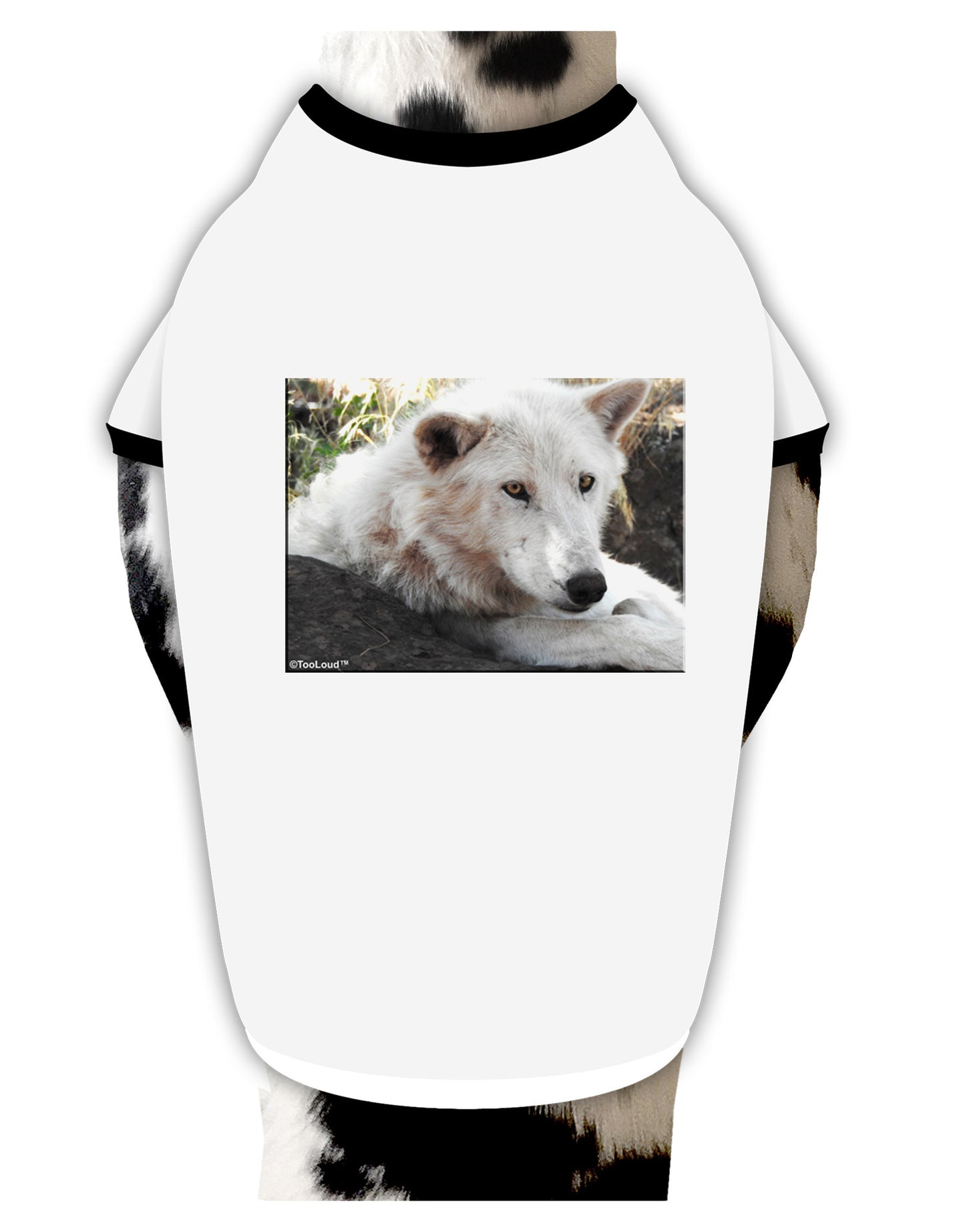 Laying White Wolf Dog Shirt-Dog Shirt-TooLoud-White-with-Black-Small-Davson Sales