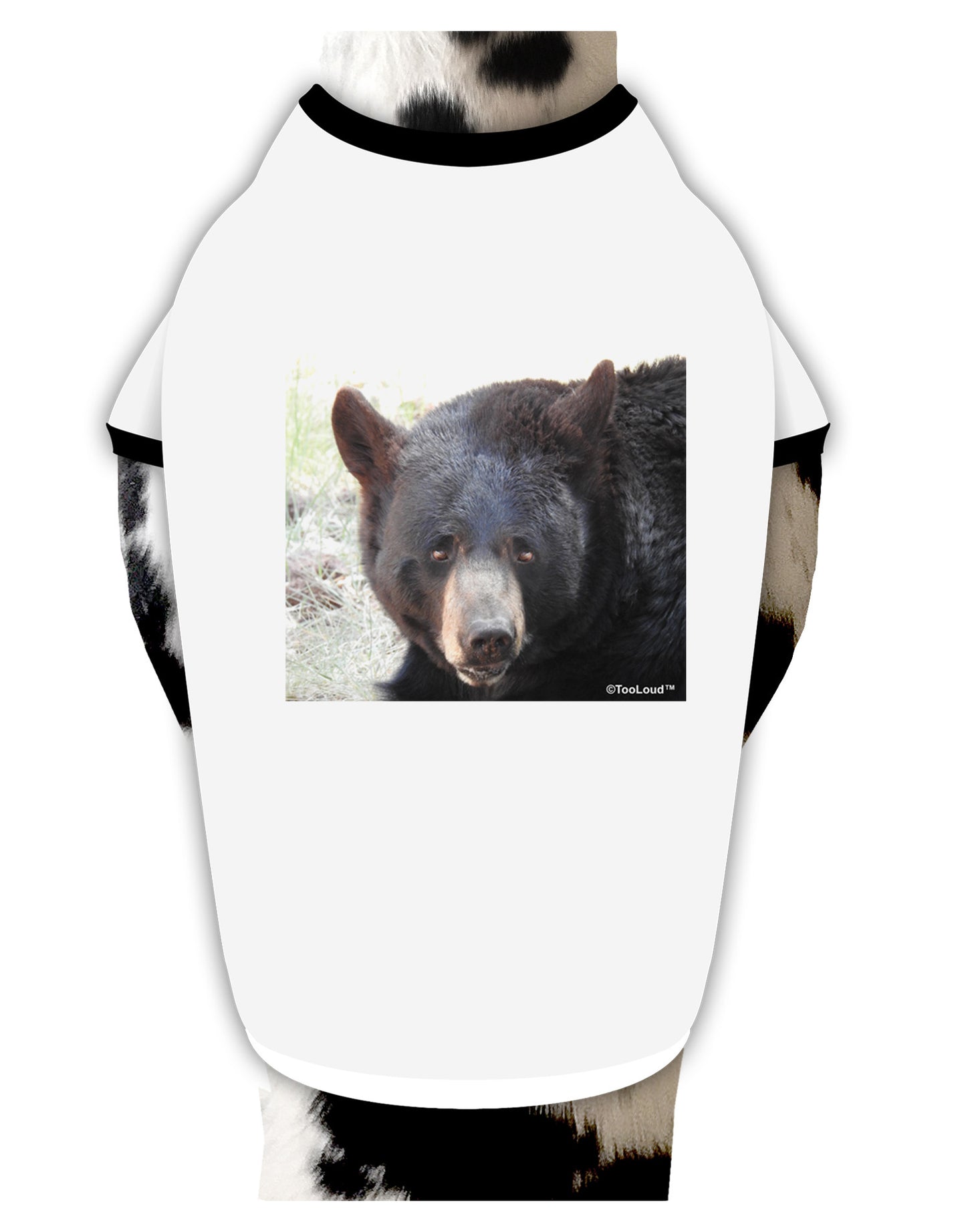 Staring Black Bear Dog Shirt-Dog Shirt-TooLoud-White-with-Black-Small-Davson Sales