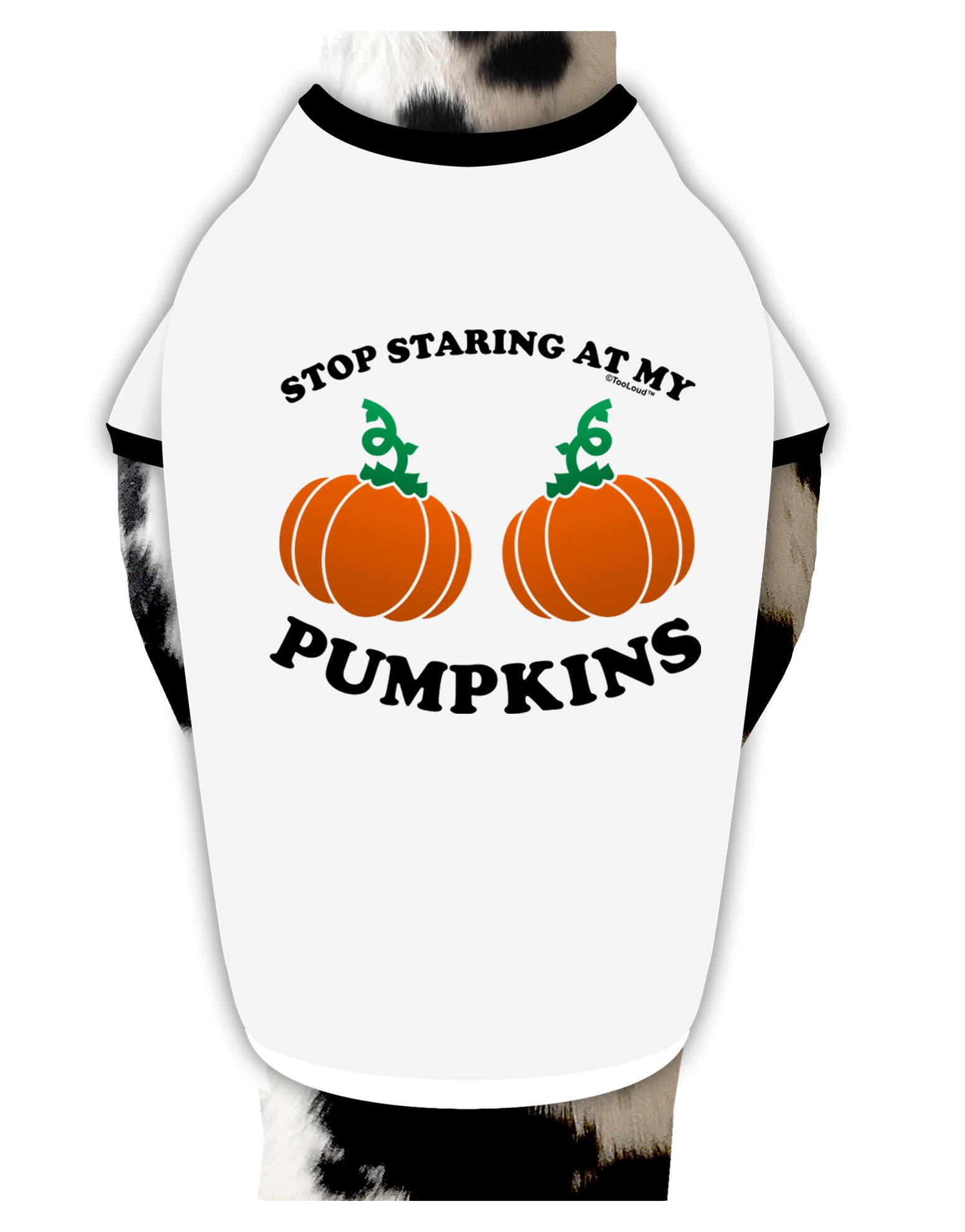 Stop Staring At My Pumpkins Dog Shirt by TooLoud-Dog Shirt-TooLoud-White-with-Black-Small-Davson Sales