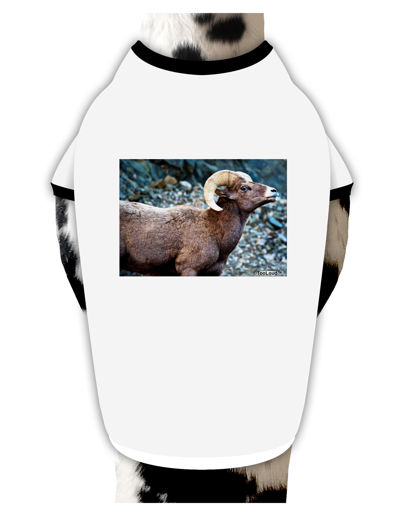 TooLoud Wide Eyed Big Horn Dog Shirt-Dog Shirt-TooLoud-White-with-Black-Small-Davson Sales