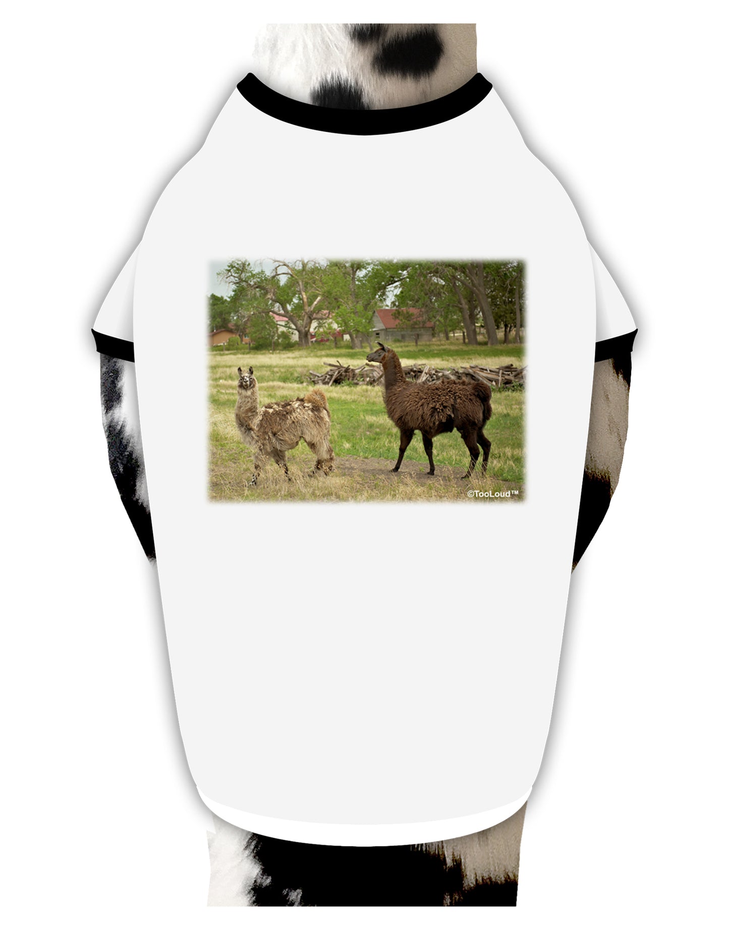 Standing Llamas Dog Shirt by TooLoud-Dog Shirt-TooLoud-White-with-Black-Small-Davson Sales