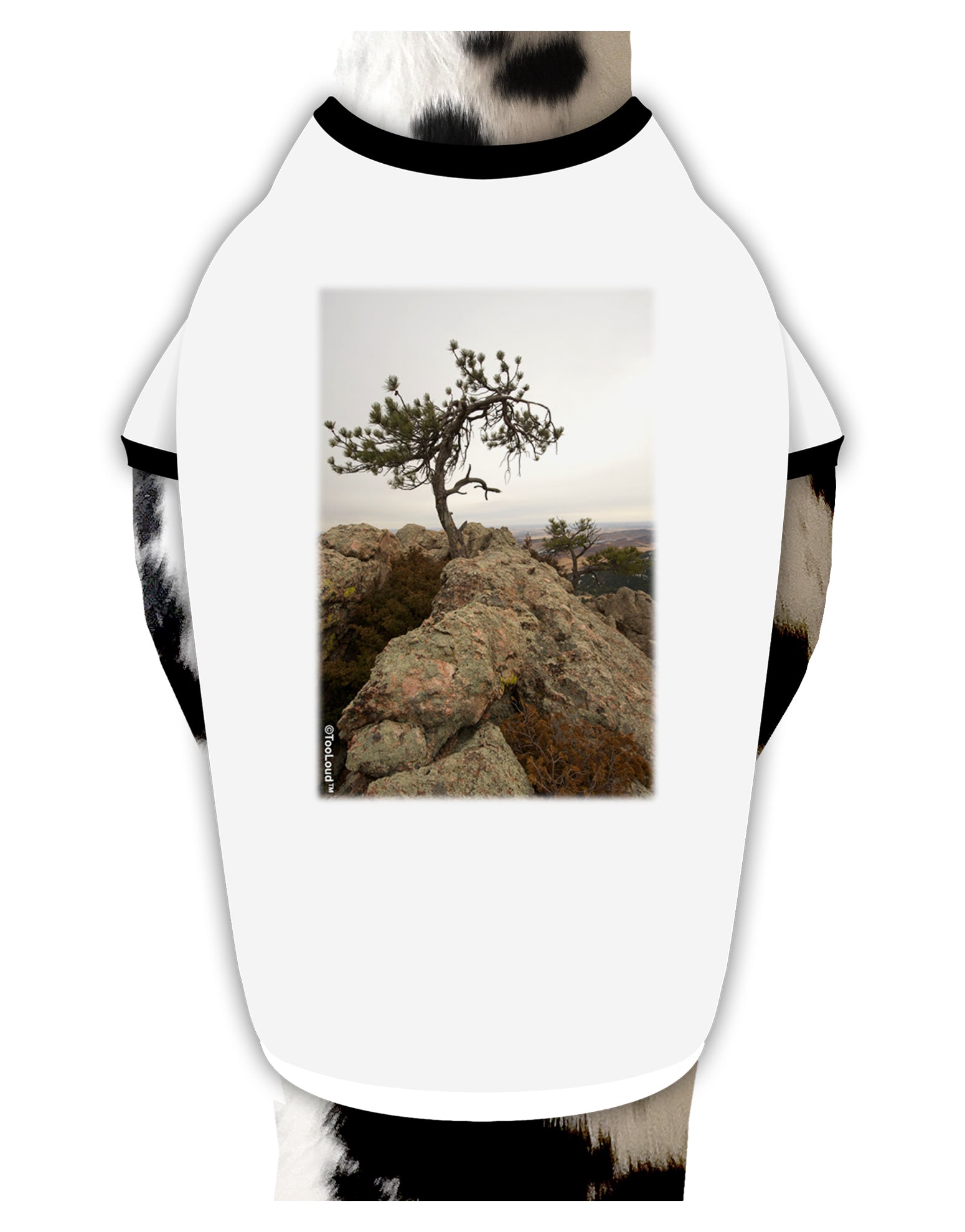 Stone Tree Colorado Dog Shirt by TooLoud-Dog Shirt-TooLoud-White-with-Black-Small-Davson Sales
