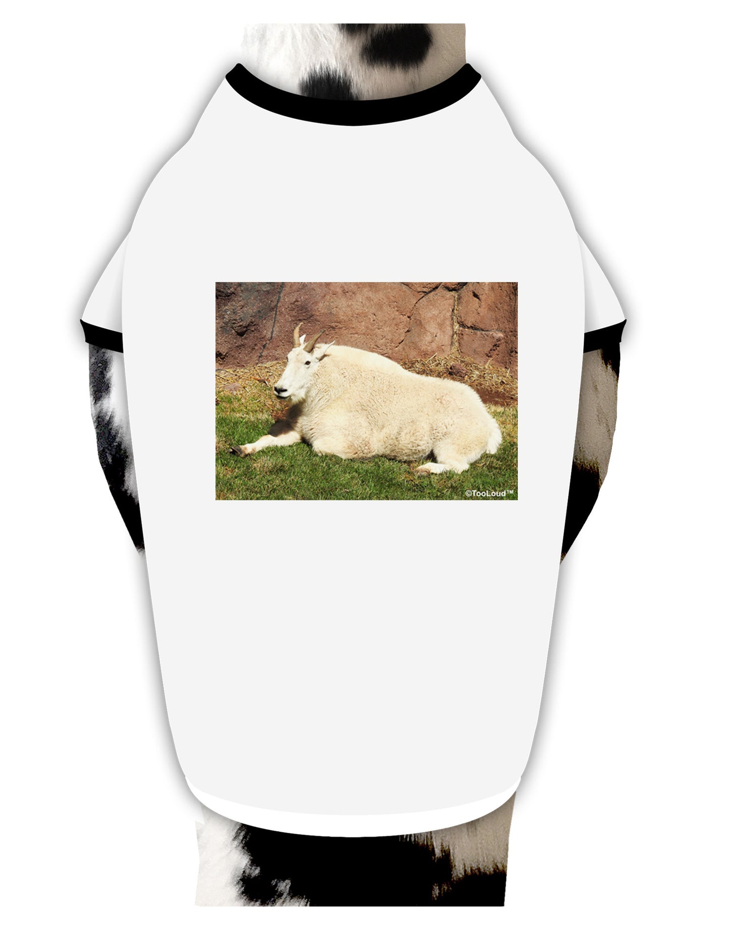 Relaxing Ram Dog Shirt-Dog Shirt-TooLoud-White-with-Black-Small-Davson Sales