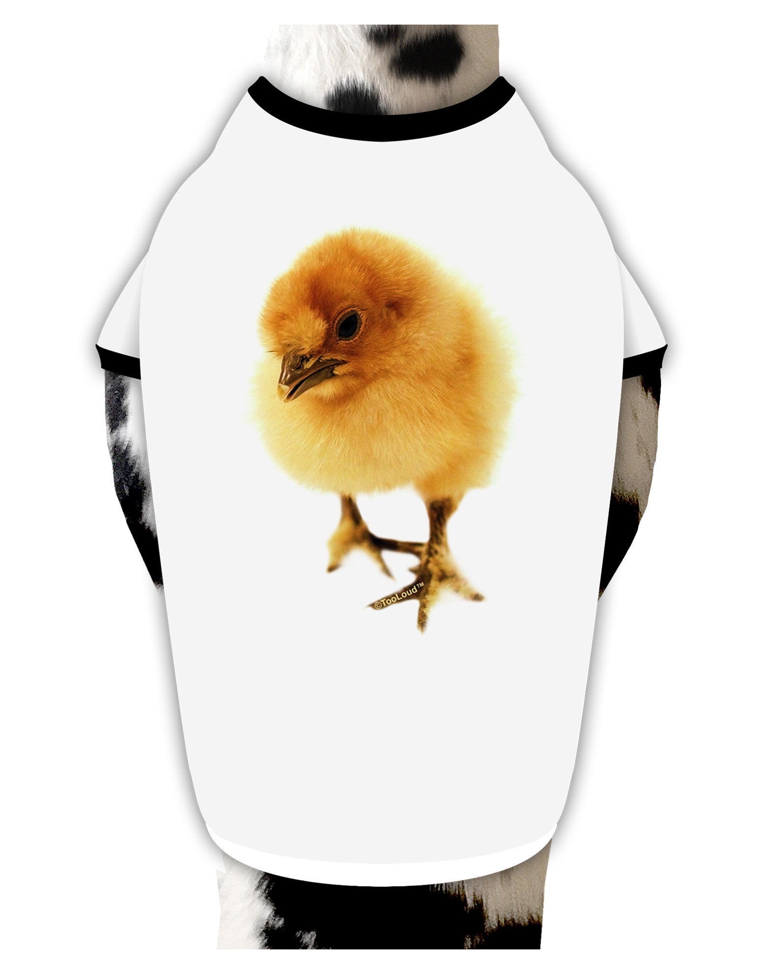 Fluffy Chick Dog Shirt-Dog Shirt-TooLoud-White-with-Black-Small-Davson Sales