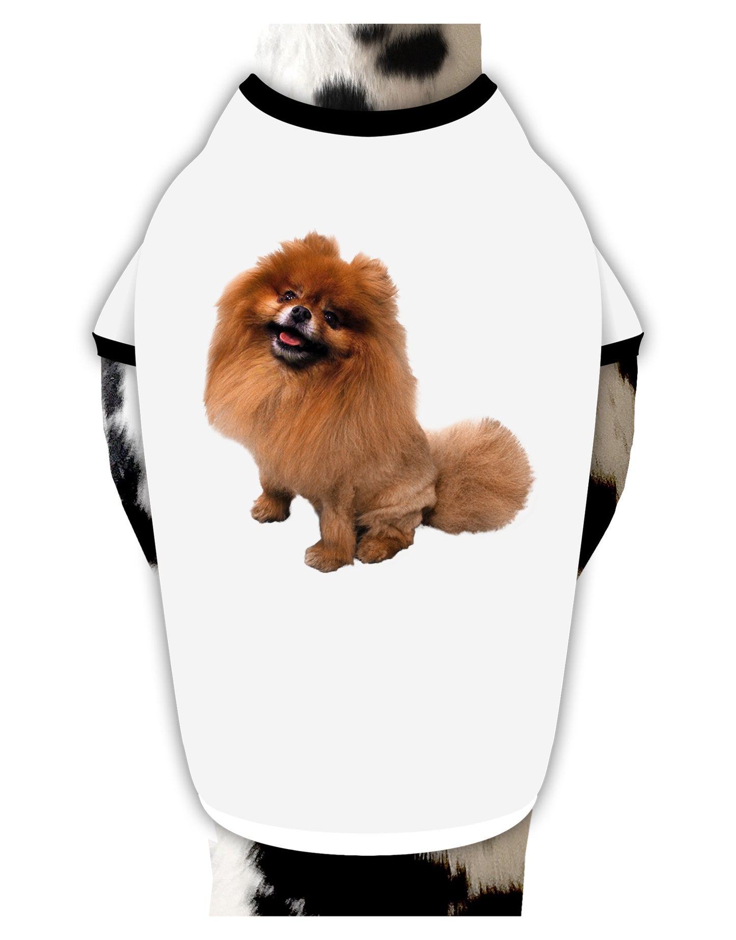 Pomeranian Sitting All Cute-Like Dog Shirt-Dog Shirt-TooLoud-White-with-Black-Small-Davson Sales