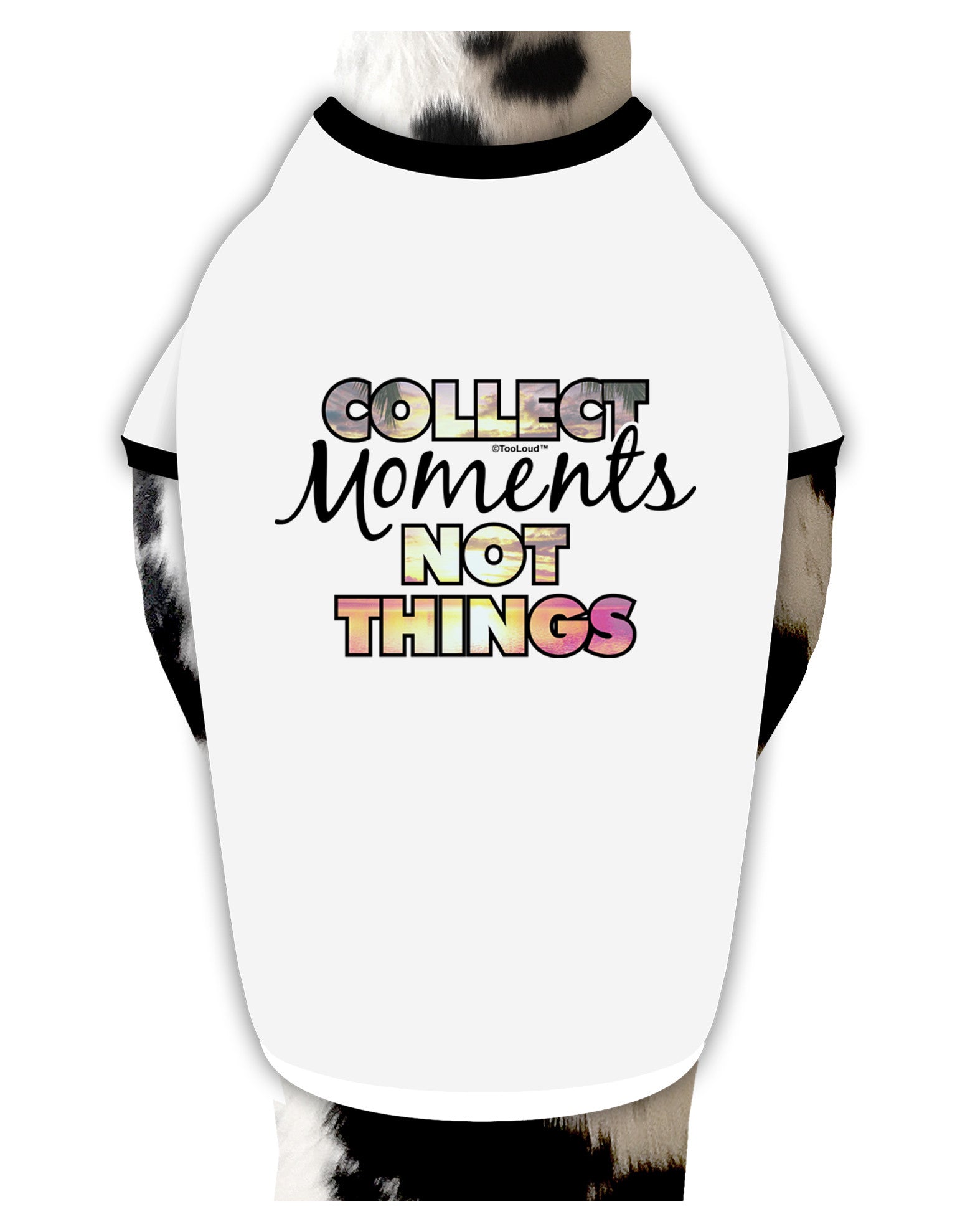 Collect Moments Not Things Dog Shirt-Dog Shirt-TooLoud-White-with-Black-Small-Davson Sales