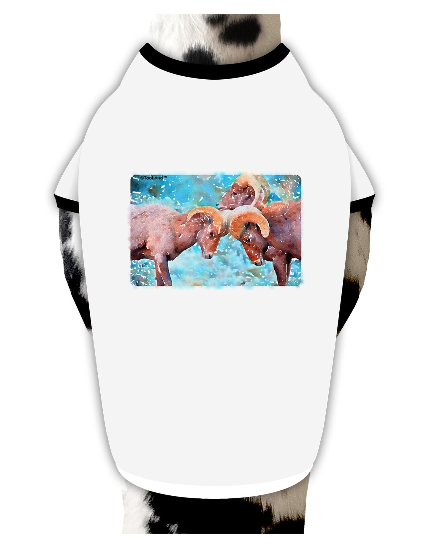 CO Bighorn Head Butt Watercolor Dog Shirt-Dog Shirt-TooLoud-White-with-Black-Small-Davson Sales