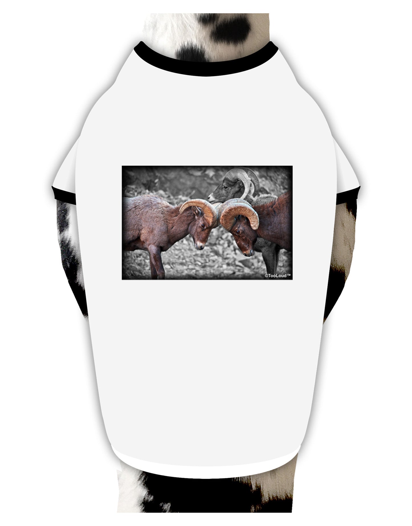 CO Bighorn Head Butt Desaturated Dog Shirt-Dog Shirt-TooLoud-White-with-Black-Small-Davson Sales