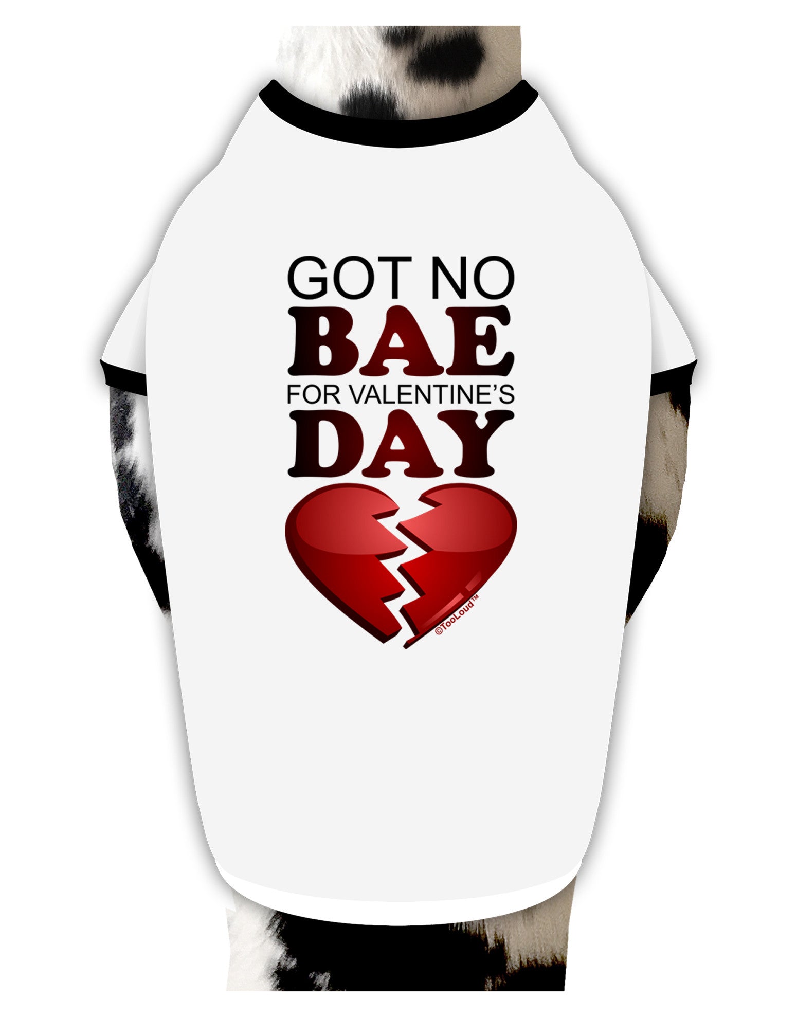 No Bae For Valentine's Day Stylish Cotton Dog Shirt-Dog Shirt-TooLoud-White-with-Black-Small-Davson Sales