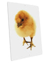 Fluffy Chick Large Aluminum Sign 12 x 18&#x22; - Portrait-Aluminum Sign-TooLoud-12x18"-Davson Sales