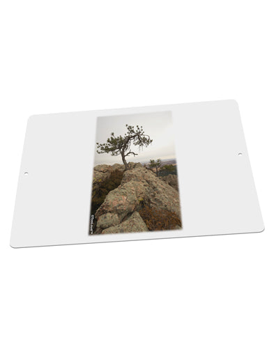 Stone Tree Colorado Large Aluminum Sign 12 x 18&#x22; - Landscape by TooLoud-TooLoud-18x12"-Davson Sales