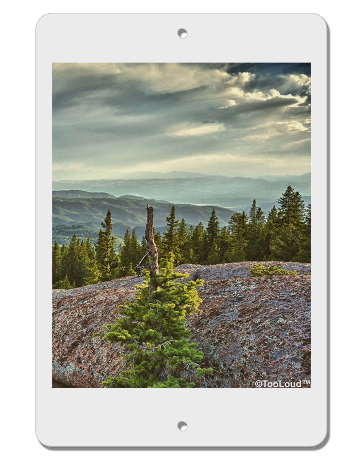 Nature Photography - Pine Kingdom Aluminum 8 x 12&#x22; Sign by TooLoud-TooLoud-White-Davson Sales