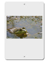 Bullfrog In Water Aluminum 8 x 12&#x22; Sign by TooLoud-TooLoud-White-Davson Sales