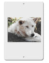 Laying White Wolf Aluminum 8 x 12&#x22; Sign-TooLoud-White-Davson Sales