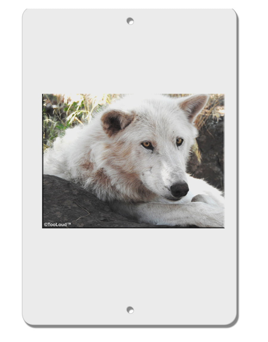 Laying White Wolf Aluminum 8 x 12&#x22; Sign-TooLoud-White-Davson Sales