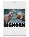 Two Bighorn Rams Text Aluminum 8 x 12&#x22; Sign-TooLoud-White-Davson Sales