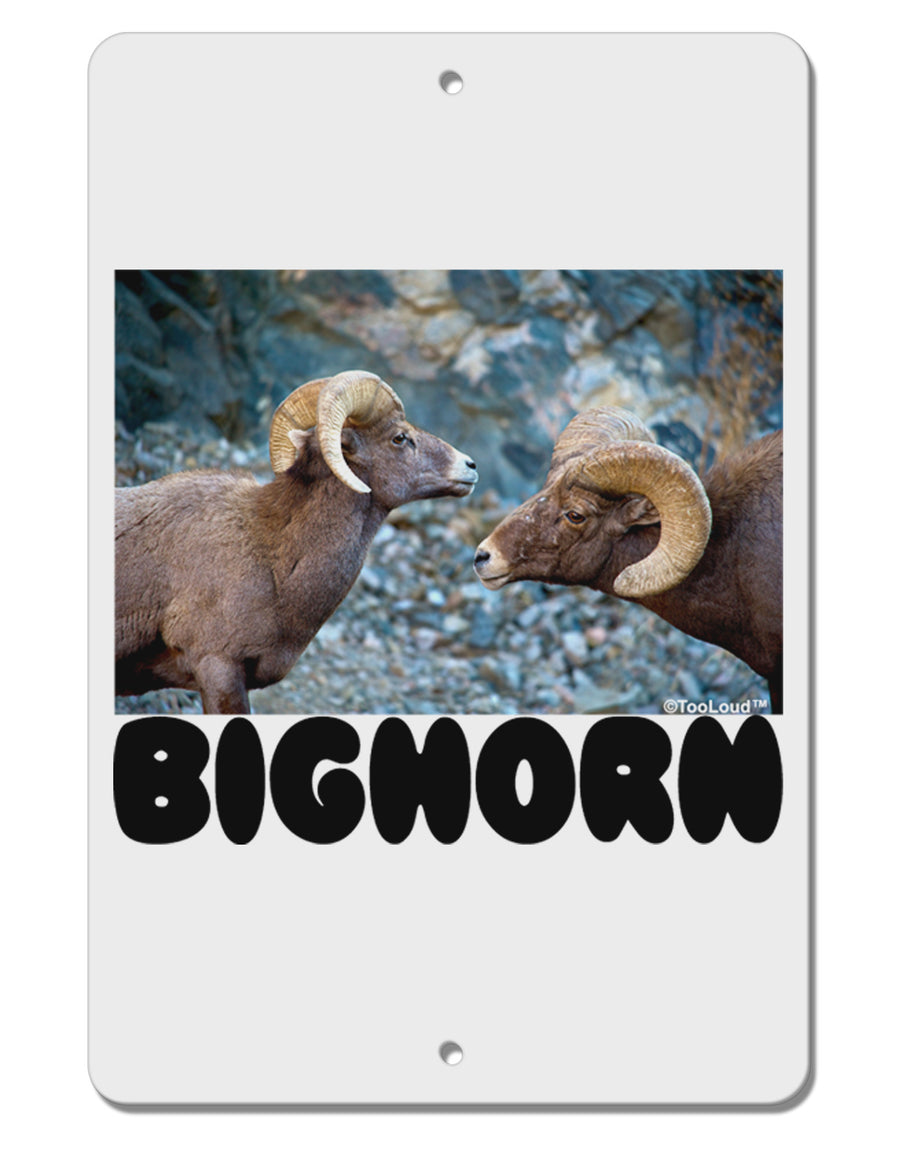 Two Bighorn Rams Text Aluminum 8 x 12&#x22; Sign-TooLoud-White-Davson Sales