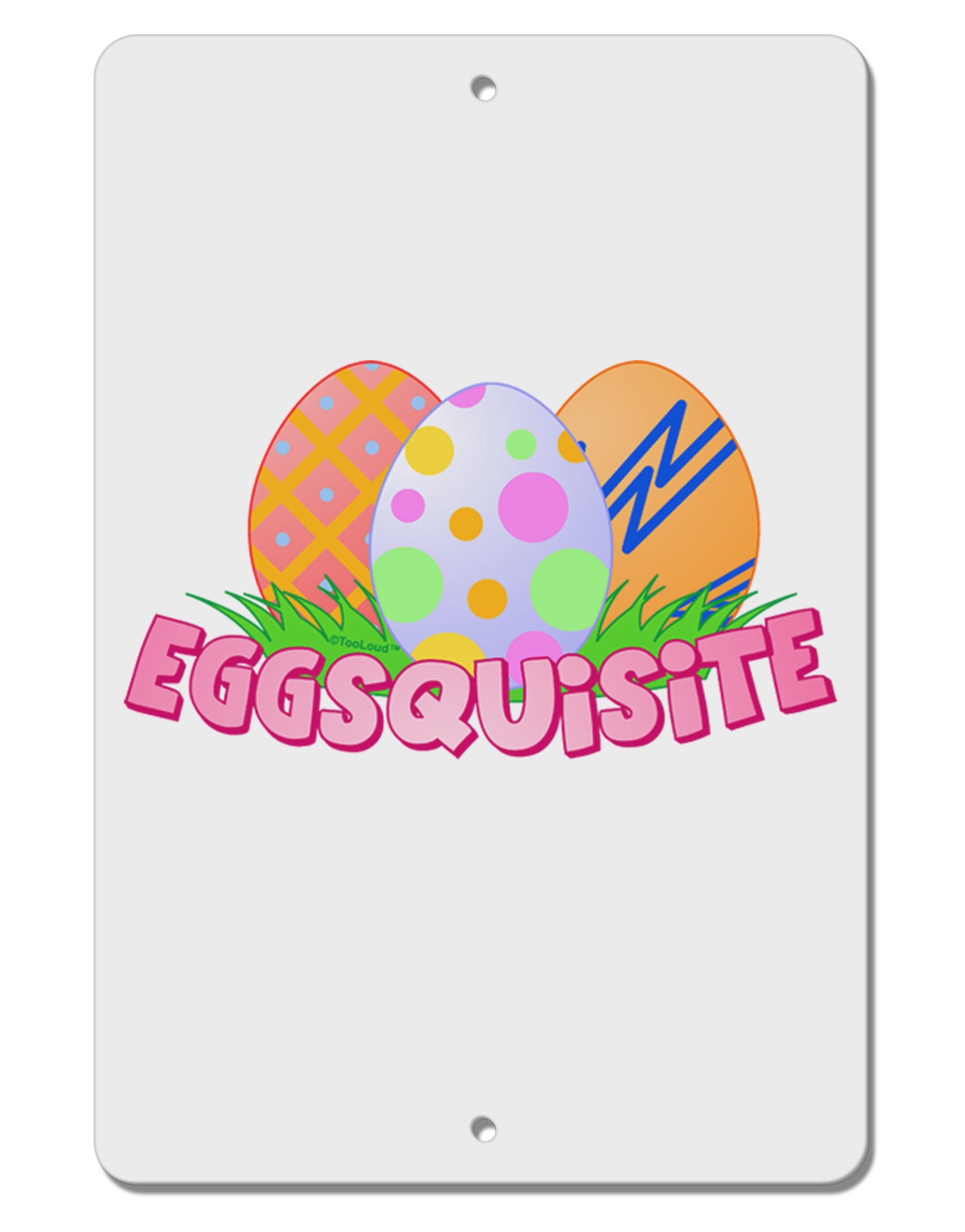 Eggsquisite Aluminum 8 x 12&#x22; Sign by TooLoud-TooLoud-White-Davson Sales