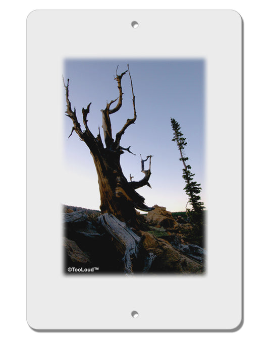 Colorado Mountain Scenery Aluminum 8 x 12&#x22; Sign by TooLoud-TooLoud-White-Davson Sales