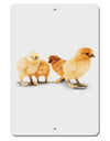 Cute Chicks Aluminum 8 x 12&#x22; Sign-TooLoud-White-Davson Sales