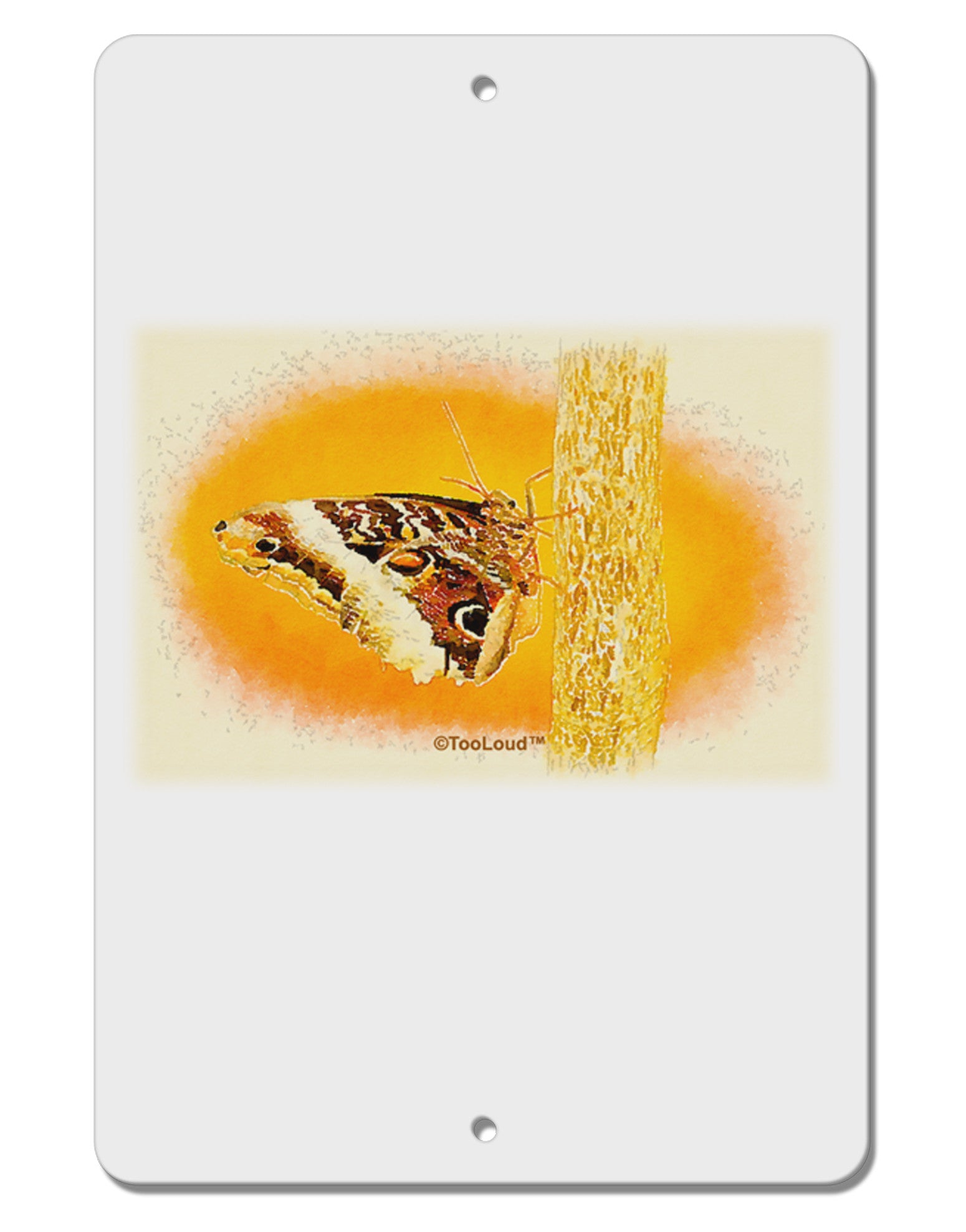 Watercolor Owl Moth Aluminum 8 x 12&#x22; Sign-TooLoud-White-Davson Sales