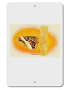 Watercolor Owl Moth Aluminum 8 x 12&#x22; Sign-TooLoud-White-Davson Sales