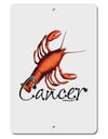 Cancer Color Illustration Aluminum 8 x 12&#x22; Sign-TooLoud-White-Davson Sales