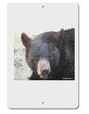 Staring Black Bear Aluminum 8 x 12&#x22; Sign-TooLoud-White-Davson Sales