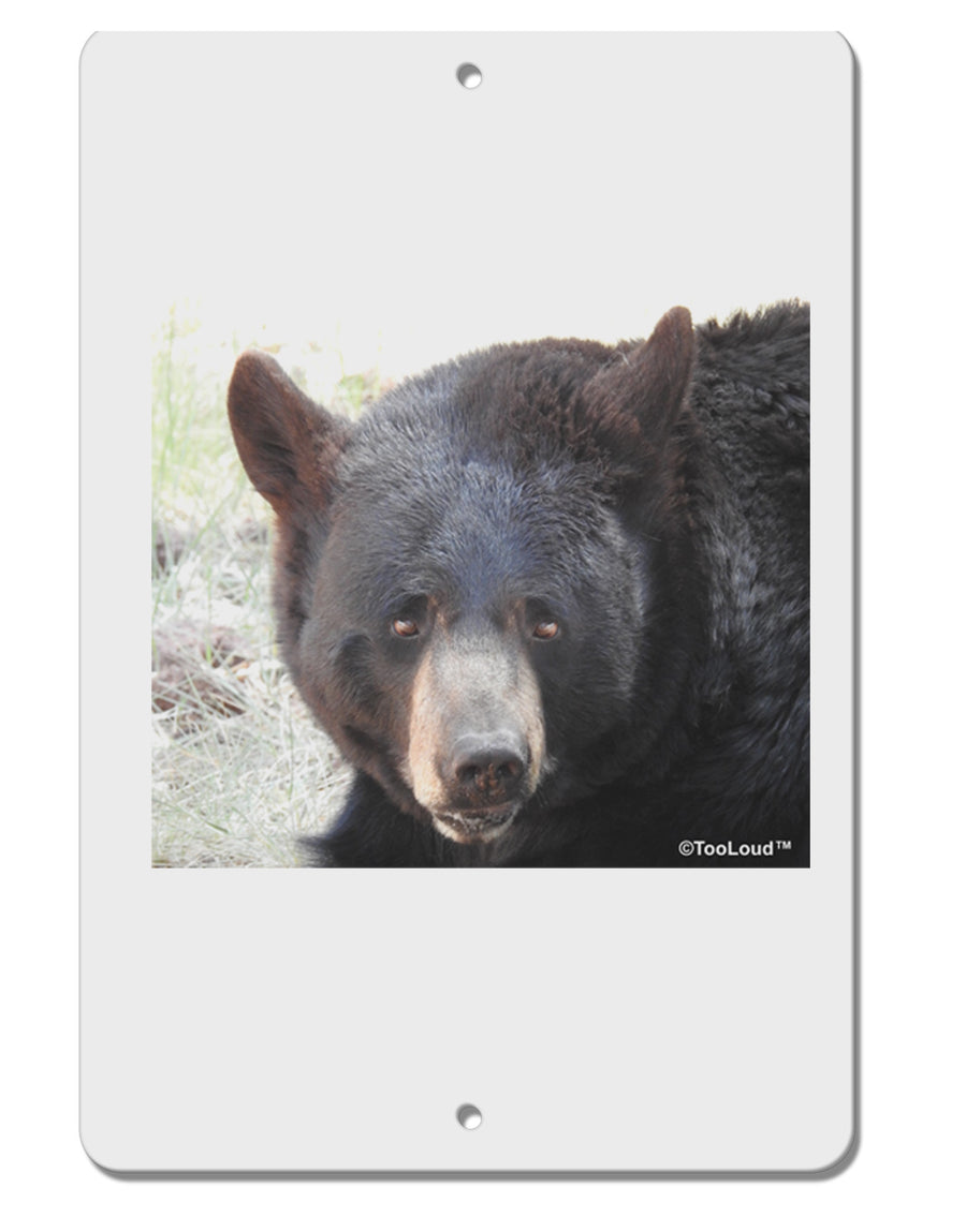 Staring Black Bear Aluminum 8 x 12&#x22; Sign-TooLoud-White-Davson Sales