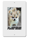 Pomeranian Step Out Aluminum 8 x 12&#x22; Sign by TooLoud-TooLoud-White-Davson Sales