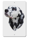 Dalmatian Portrait Aluminum 8 x 12&#x22; Sign by TooLoud-TooLoud-White-Davson Sales