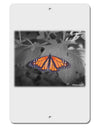 Monarch Butterfly Photo Aluminum 8 x 12&#x22; Sign-TooLoud-White-Davson Sales