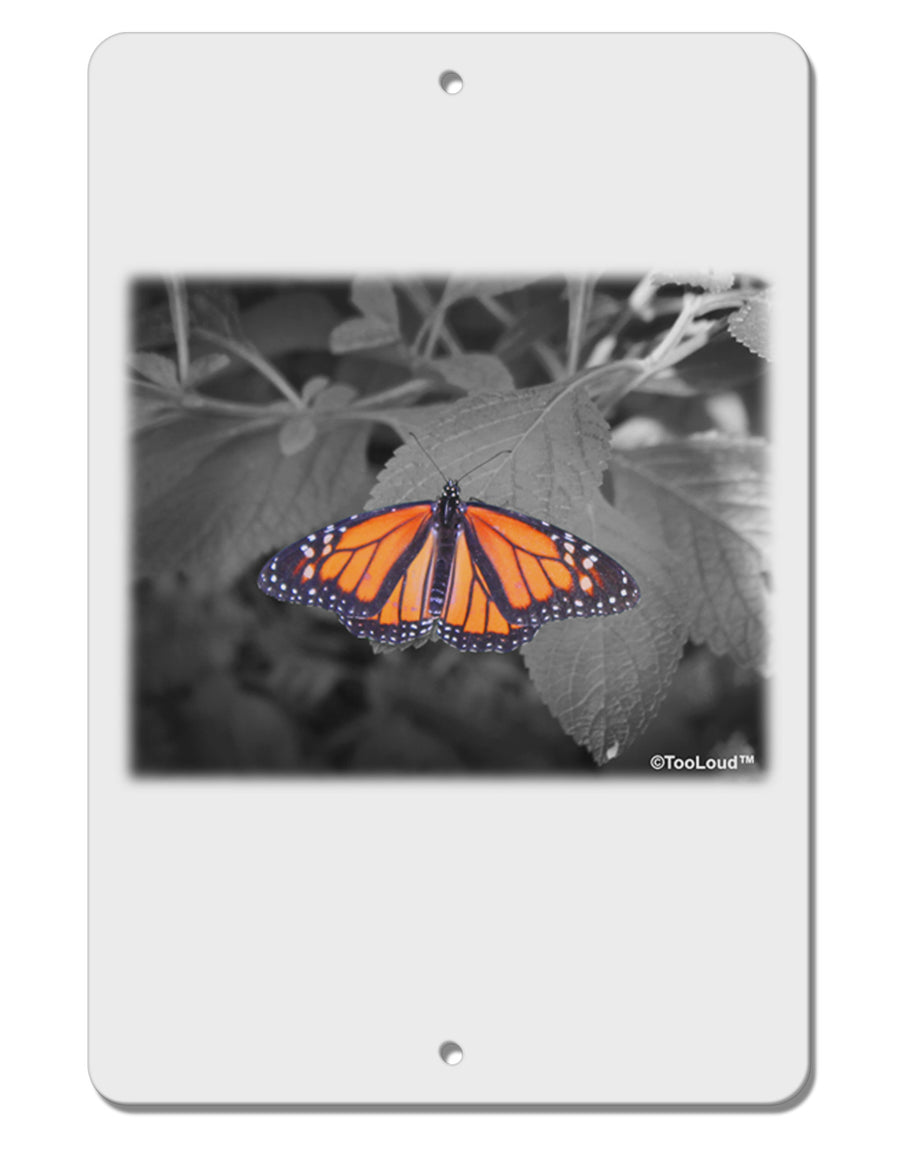 Monarch Butterfly Photo Aluminum 8 x 12&#x22; Sign-TooLoud-White-Davson Sales