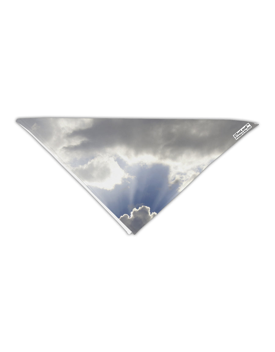 Blue Sky Silver Linings Adult 19&#x22; Square Bandana All Over Print-Square Bandanas-TooLoud-White-One-Size-Adult-Davson Sales