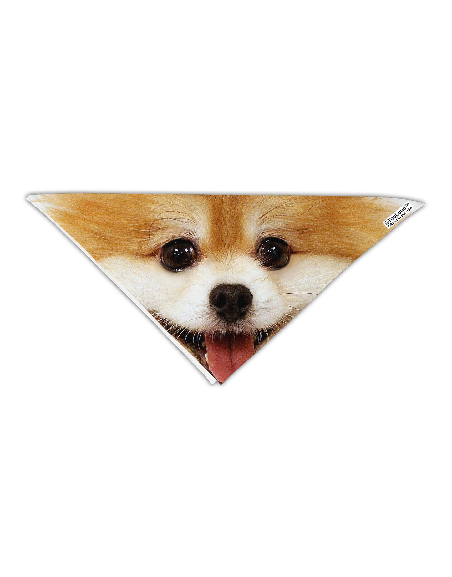 Adorable Pomeranian 1 Adult 19&#x22; Square Bandana All Over Print-Square Bandanas-TooLoud-White-One-Size-Adult-Davson Sales