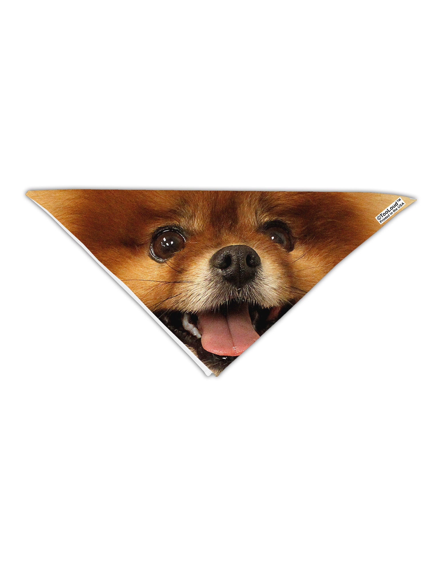 Adorable Red Pomeranian Adult 19&#x22; Square Bandana All Over Print-Square Bandanas-TooLoud-White-One-Size-Adult-Davson Sales