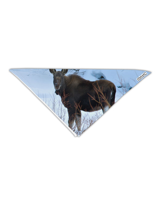 TooLoud Winter Scene All-Over-Print Adult 19" Square Bandana All Over Print-Square Bandanas-TooLoud-White-One-Size-Adult-Davson Sales