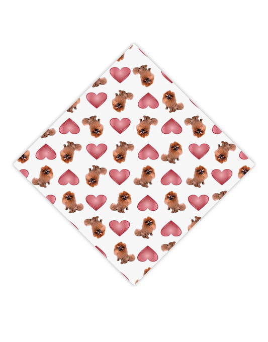 Pomeranian Hearts AOP Adult Square Bandana All Over Print-Square Bandanas-TooLoud-White-One-Size-Adult-Davson Sales