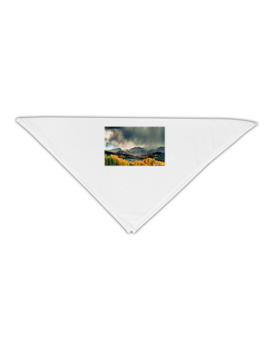 Colorado Mountain Scene Photo Adult 19&#x22; Square Bandana-Square Bandanas-TooLoud-White-One-Size-Adult-Davson Sales