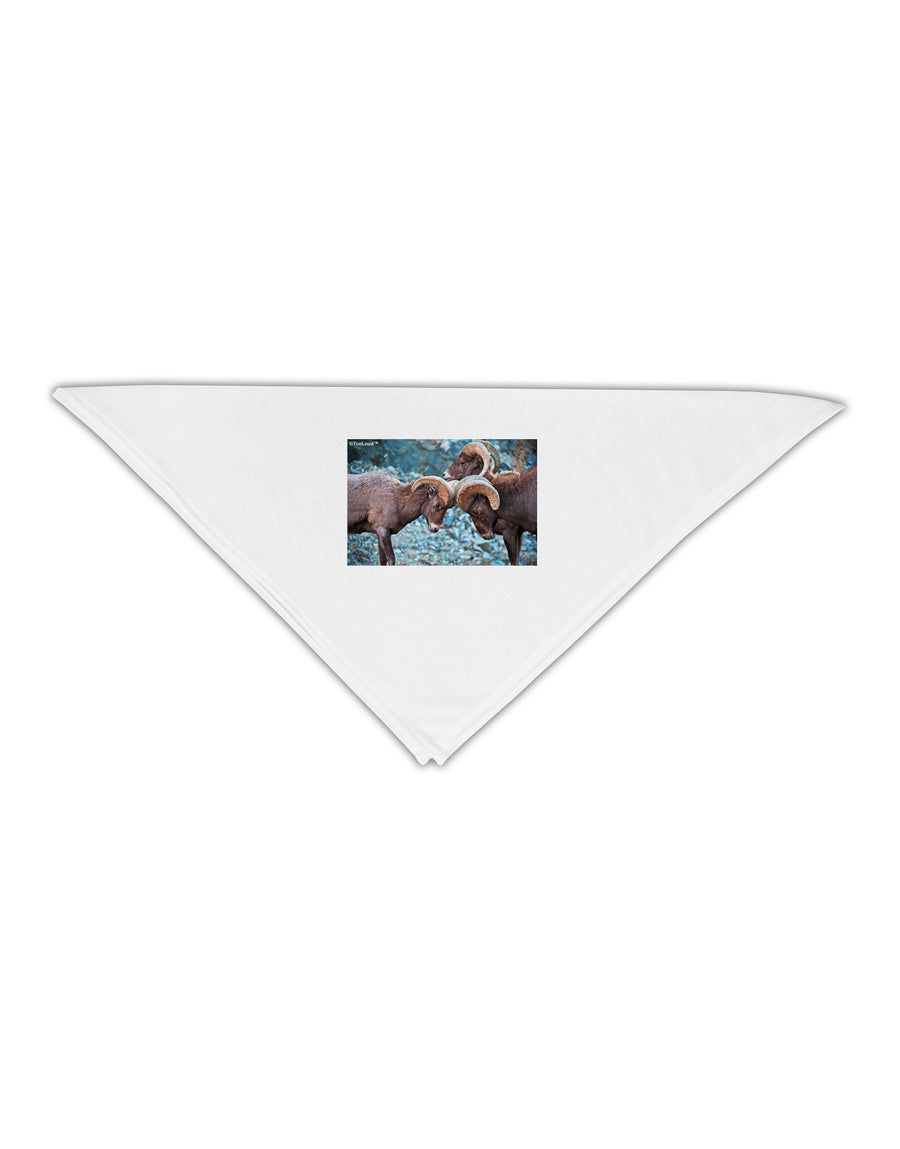 CO Bighorn Head Butt Adult 19&#x22; Square Bandana-Square Bandanas-TooLoud-White-One-Size-Adult-Davson Sales