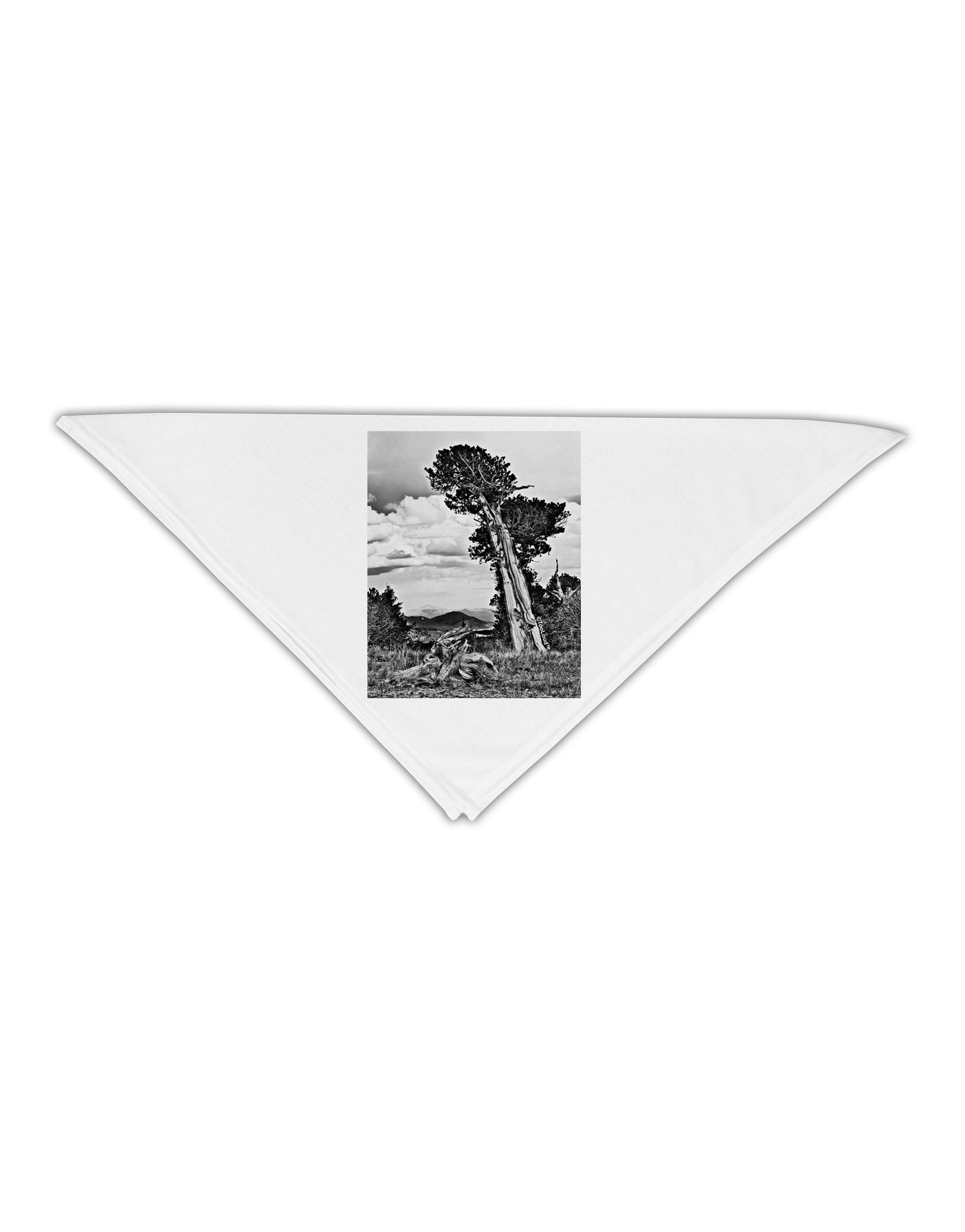 Colorado Landscape Monochrome Adult 19&#x22; Square Bandana-Square Bandanas-TooLoud-White-One-Size-Adult-Davson Sales