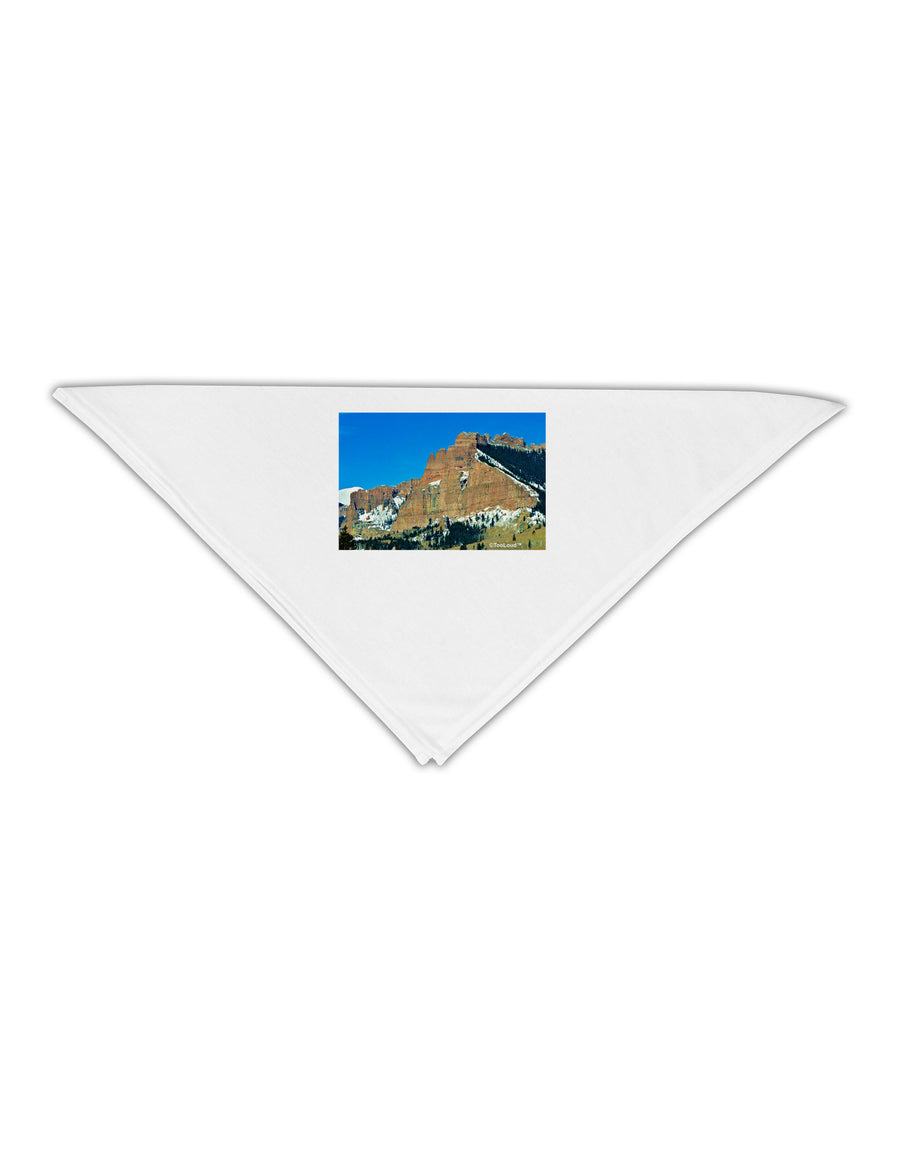 Colorado Snowy Mountains Adult 19&#x22; Square Bandana-Square Bandanas-TooLoud-White-One-Size-Adult-Davson Sales