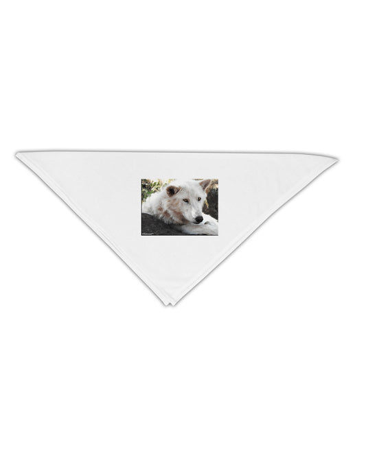 Laying White Wolf Adult 19&#x22; Square Bandana-Square Bandanas-TooLoud-White-One-Size-Adult-Davson Sales