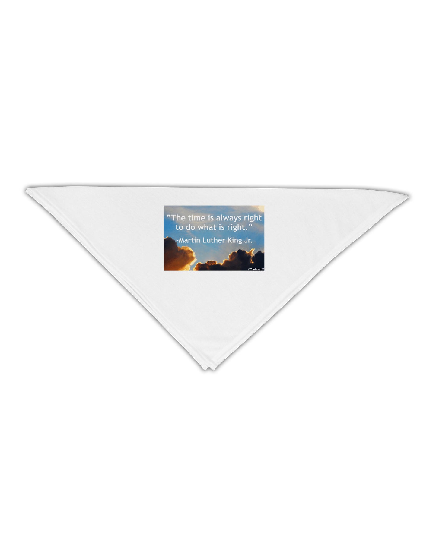 The Time Is Always Right Adult 19" Square Bandana-Square Bandanas-TooLoud-White-One-Size-Adult-Davson Sales