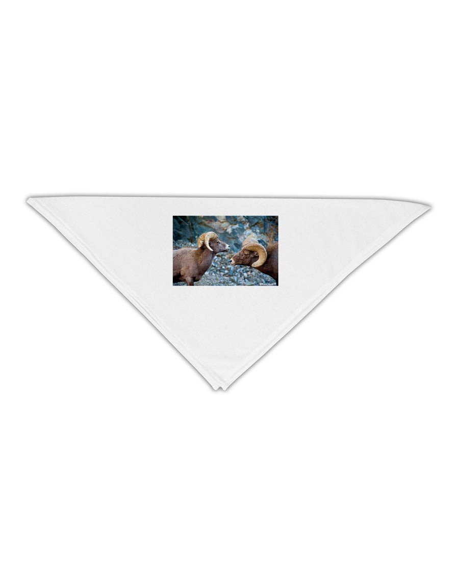 Two Bighorn Rams Adult 19&#x22; Square Bandana-Square Bandanas-TooLoud-White-One-Size-Adult-Davson Sales