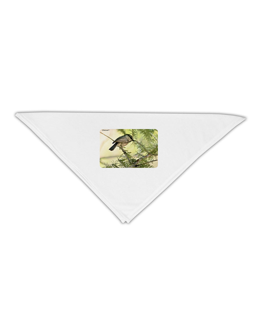 CO Chickadee Adult 19&#x22; Square Bandana-Square Bandanas-TooLoud-White-One-Size-Adult-Davson Sales