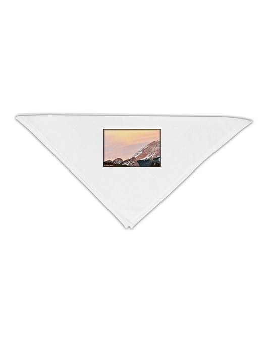 CO Sunset Cliffs Adult 19&#x22; Square Bandana-Square Bandanas-TooLoud-White-One-Size-Adult-Davson Sales