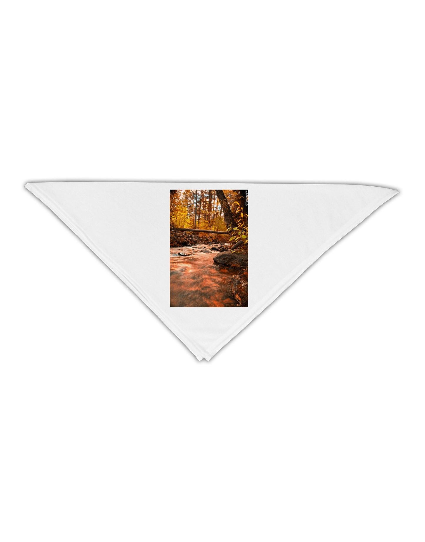 Mt Shavano Colorado Adult 19" Square Bandana-Square Bandanas-TooLoud-White-One-Size-Adult-Davson Sales